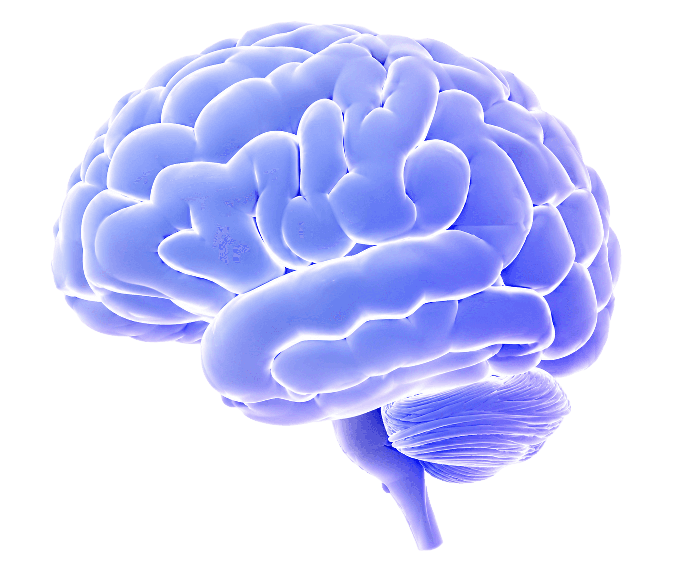 Blue AI brain illustration
